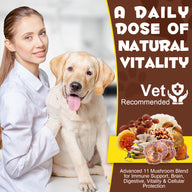 Oimmal Wild Mushroom Superblend 120g - 1Pack