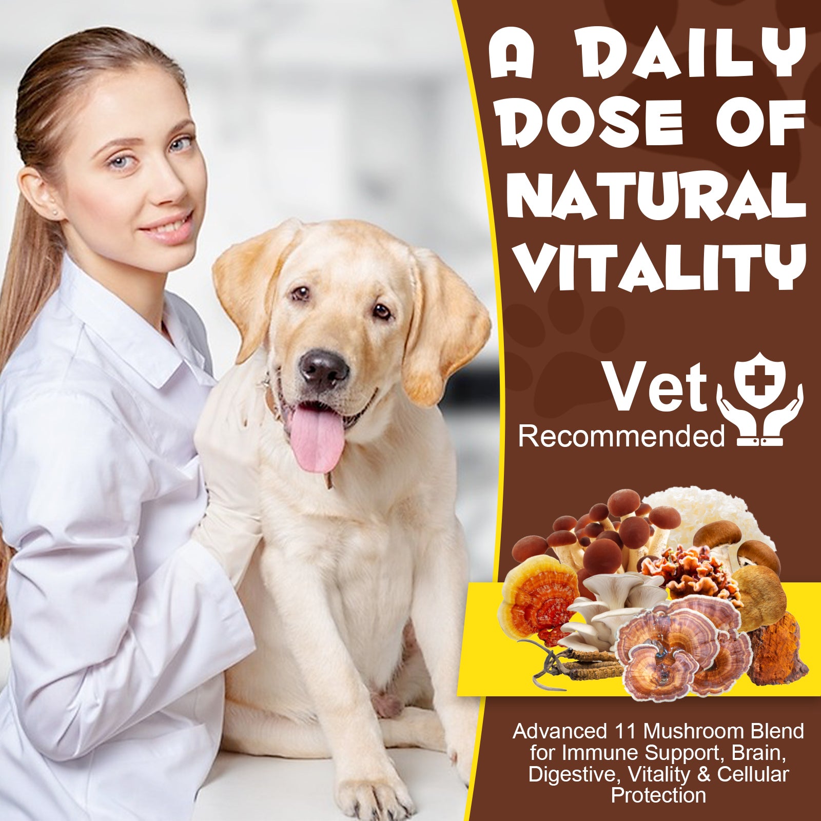 Oimmal Wild Mushroom Superblend 120g - 1Pack