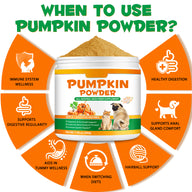 Oimmal Pet Pumpkin Powder 200g - 1Pack