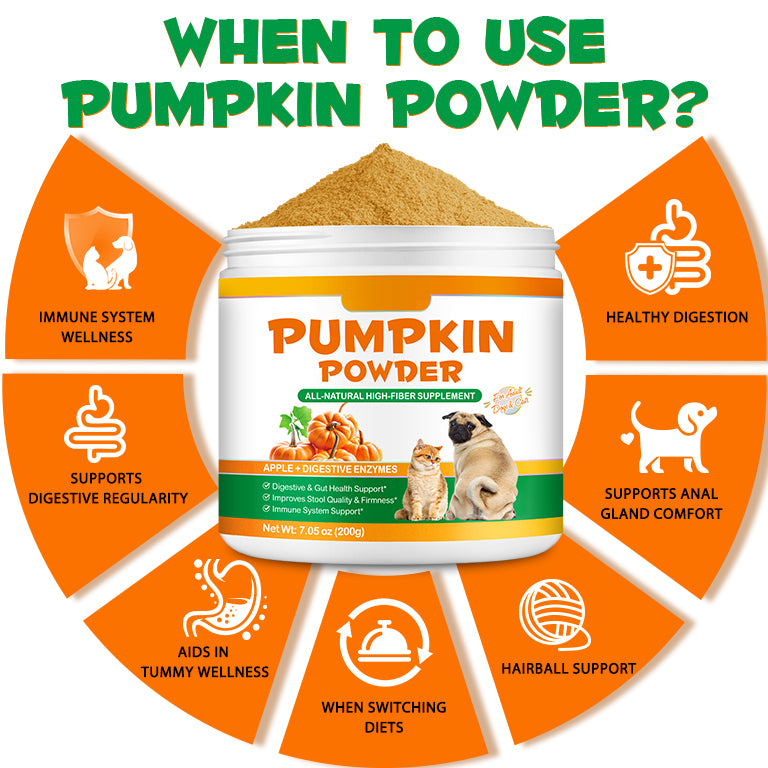 Oimmal Pet Pumpkin Powder 200g - 1Pack