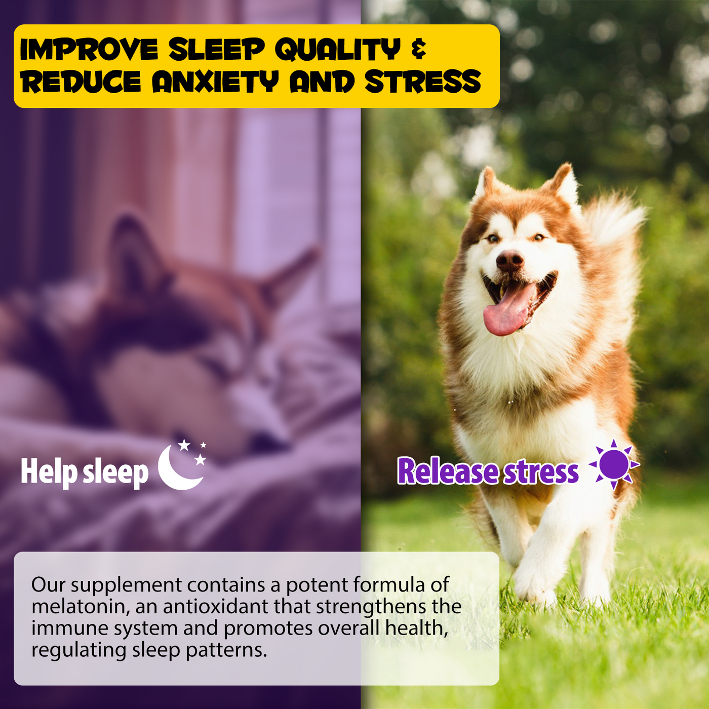 Oimmal Sleep Aid Drops for Dogs - LOT of 2