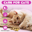 Oimmal Cat 15in1 Multivitamin Chews 100g - 2Pack