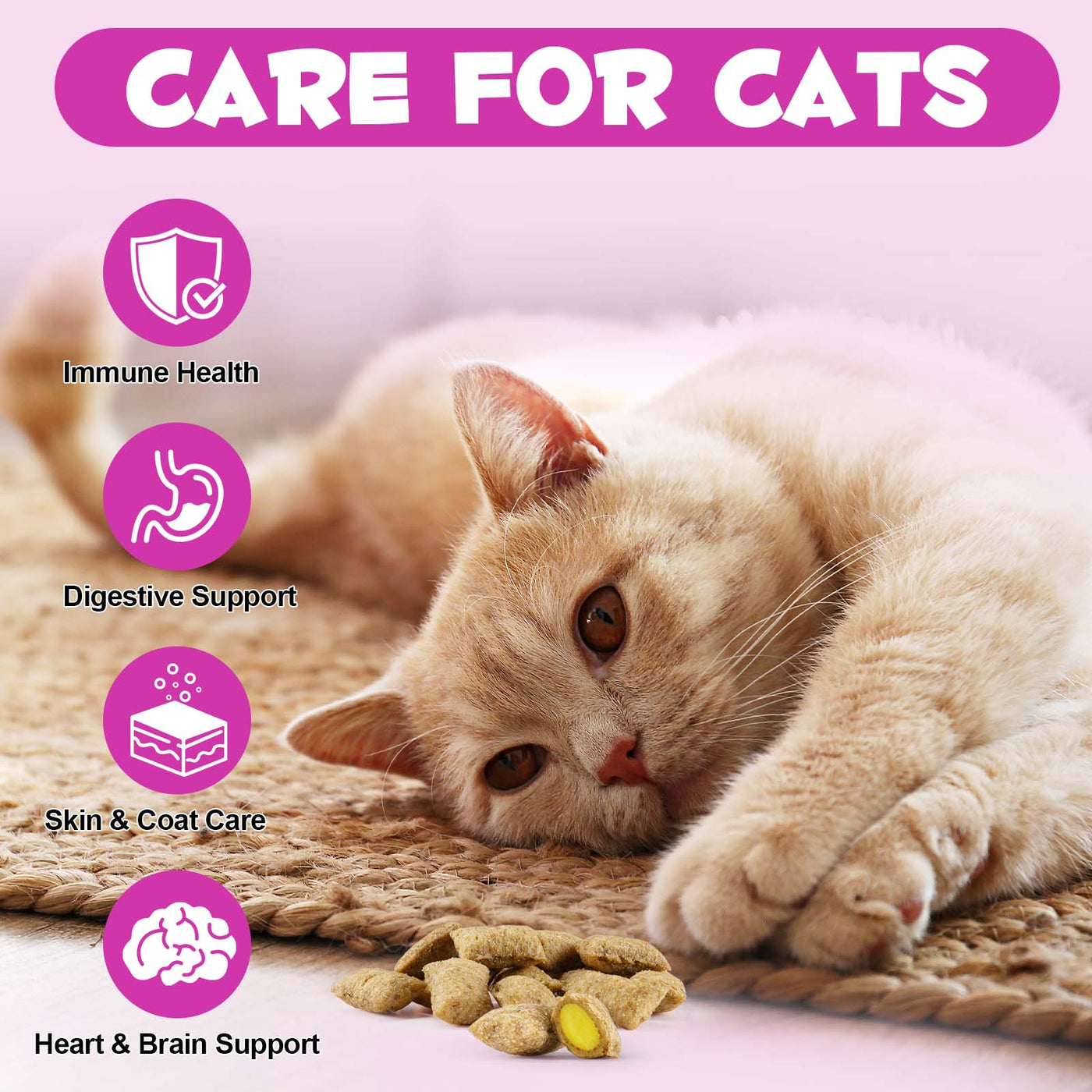 Oimmal Cat 15in1 Multivitamin Chews 100g - 2Pack