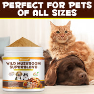 Oimmal Wild Mushroom Superblend 120g - 1Pack