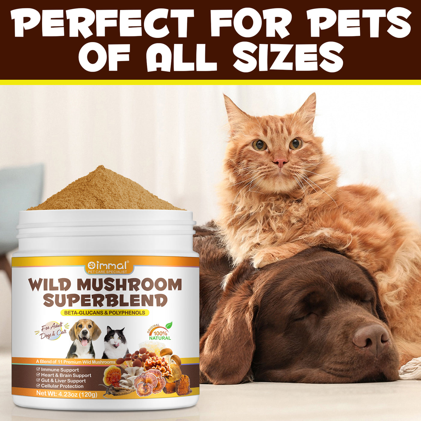 Oimmal Wild Mushroom Superblend 120g - 1Pack