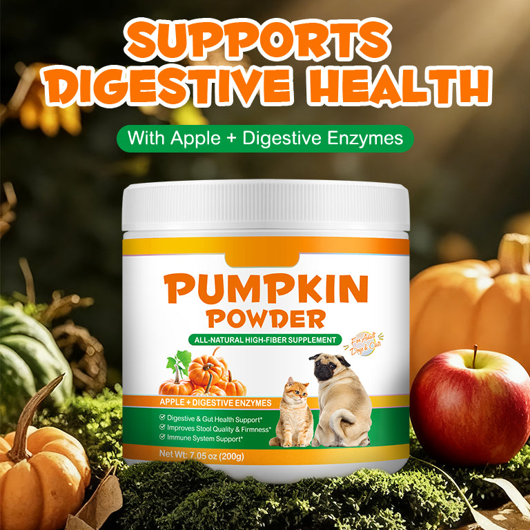 Oimmal Pet Pumpkin Powder 200g - 1Pack
