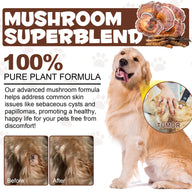 Oimmal Wild Mushroom Superblend 120g - 2Pack