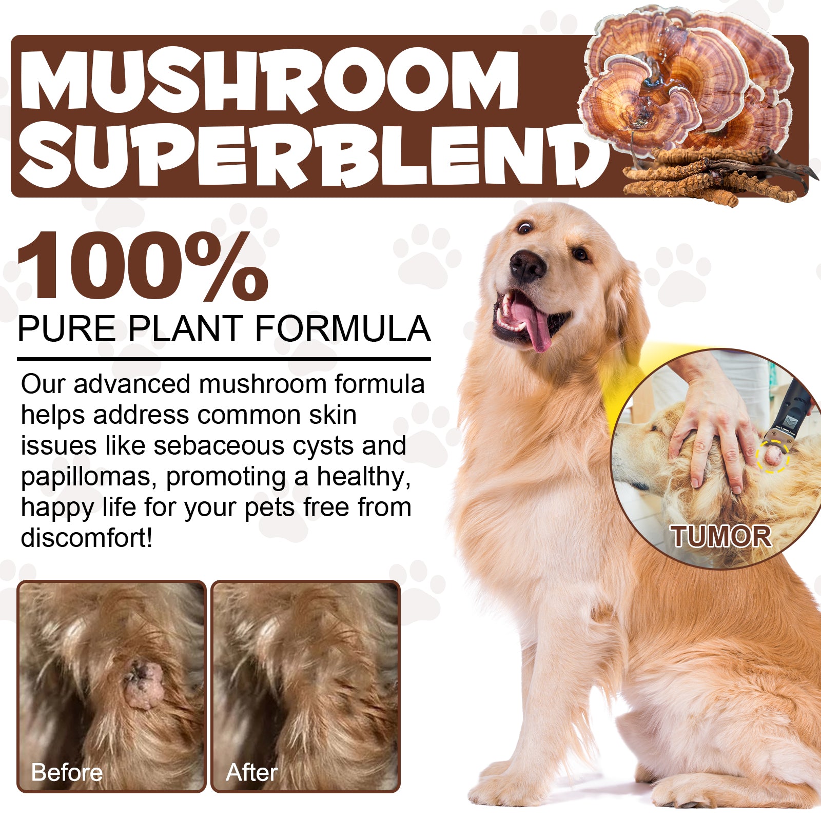 Oimmal Wild Mushroom Superblend 120g - 2Pack