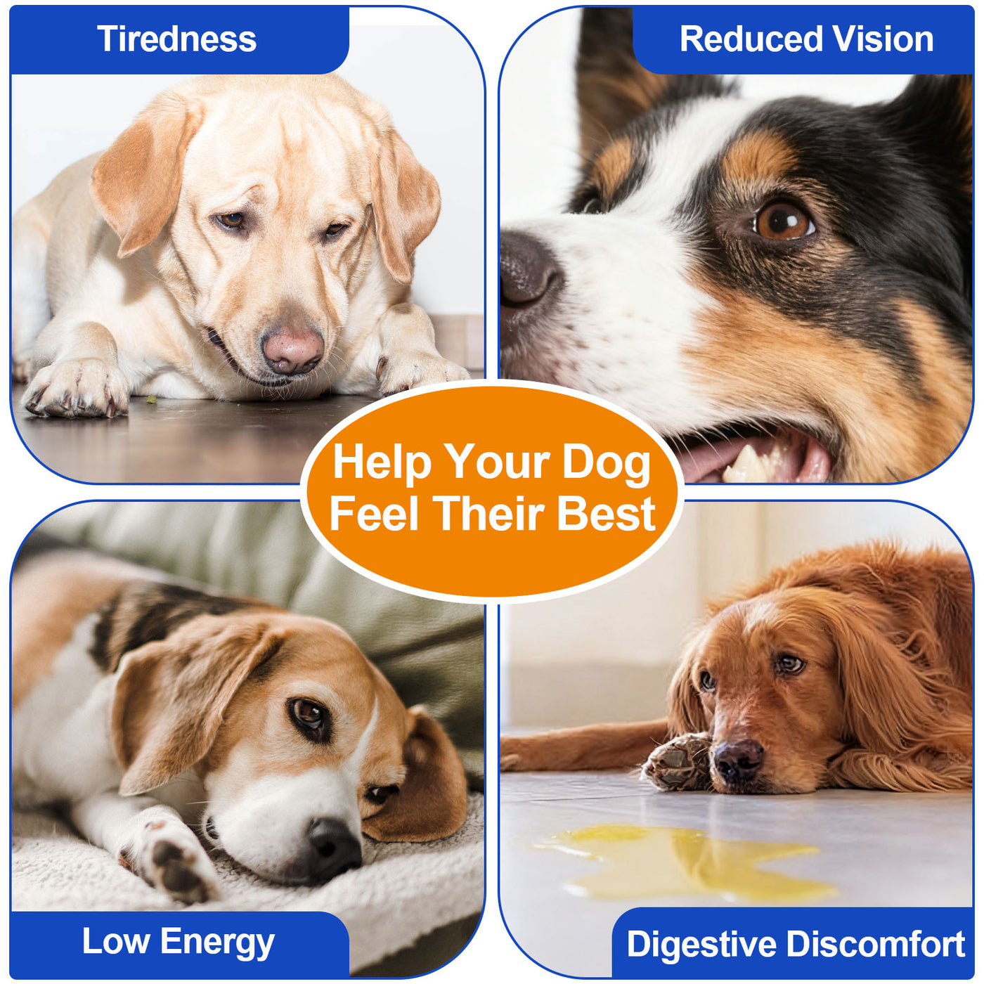 Oimmal Dog Taurine Powder - 1Pack