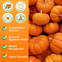 Oimmal Pet Pumpkin Powder 200g - 1Pack