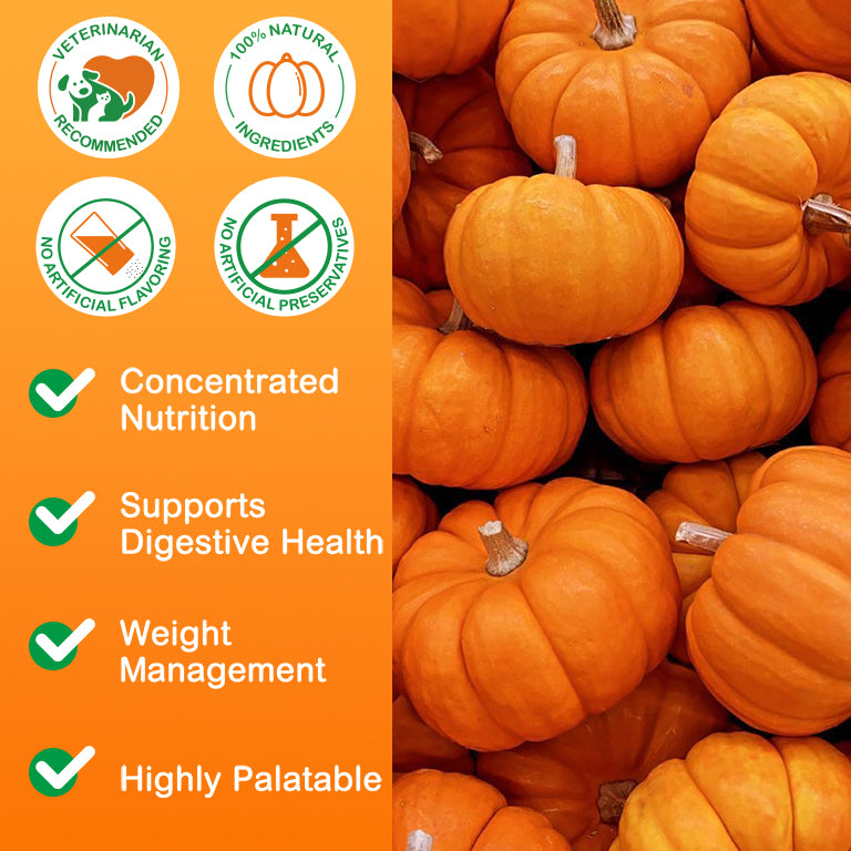 Oimmal Pet Pumpkin Powder 200g - 1Pack