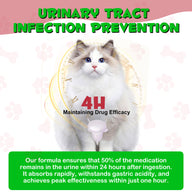 Oimmal Cats Urinary Tract Supplement