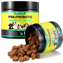 Oimmal Pre & Probiotic Digestive Chews - 2 Packs