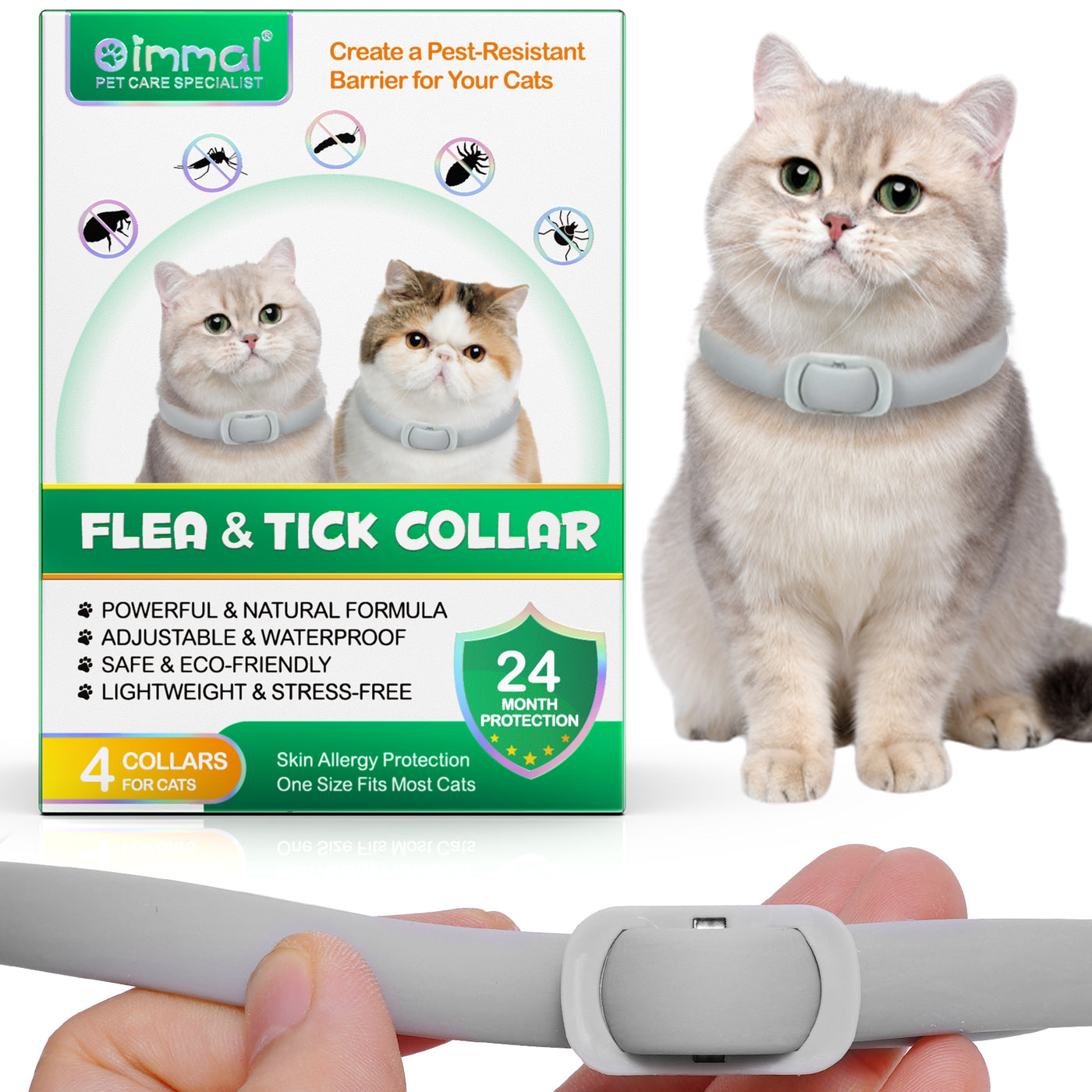 Flea Prevention For Kitten Digestive Issues photo