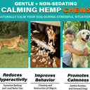 Oimmal Calming Chews for Dogs 150 Count