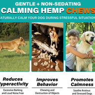 Oimmal Calming Chews for Dogs 150 Count