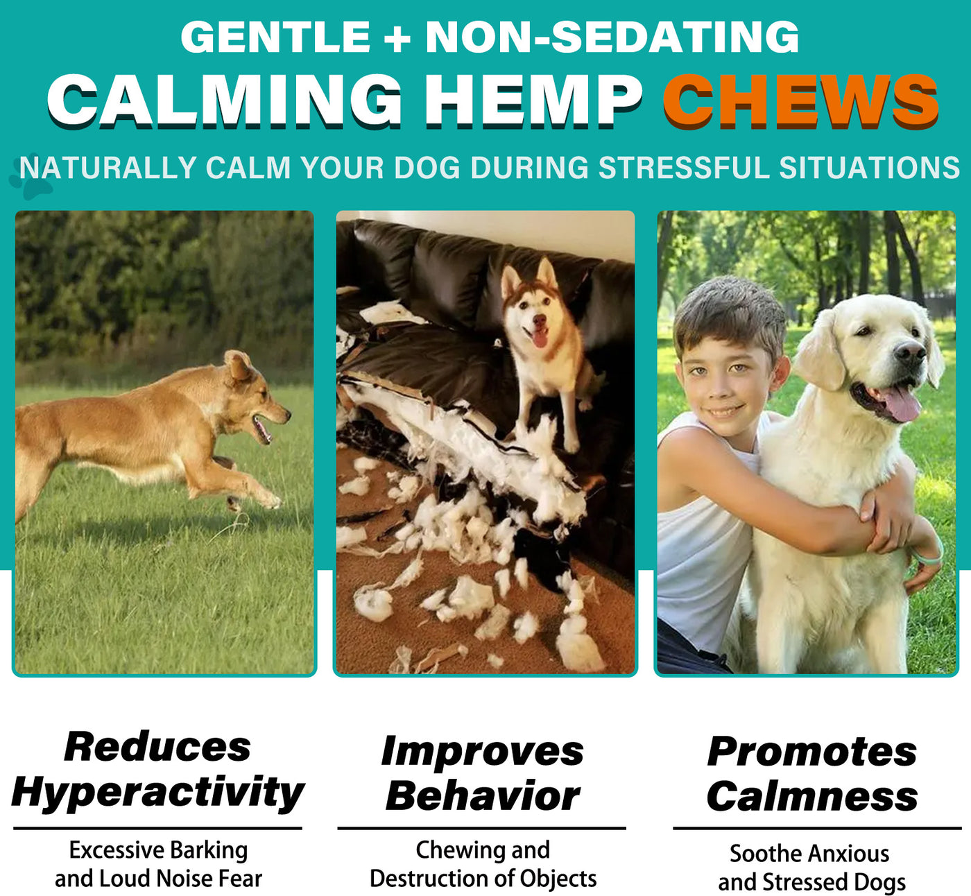 Oimmal Calming Chews for Dogs 150 Count