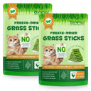 Oimmal Cat Grass Stick 60g - 2Pack