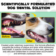 Oimmal 6-in-1 Canine Dental Solution