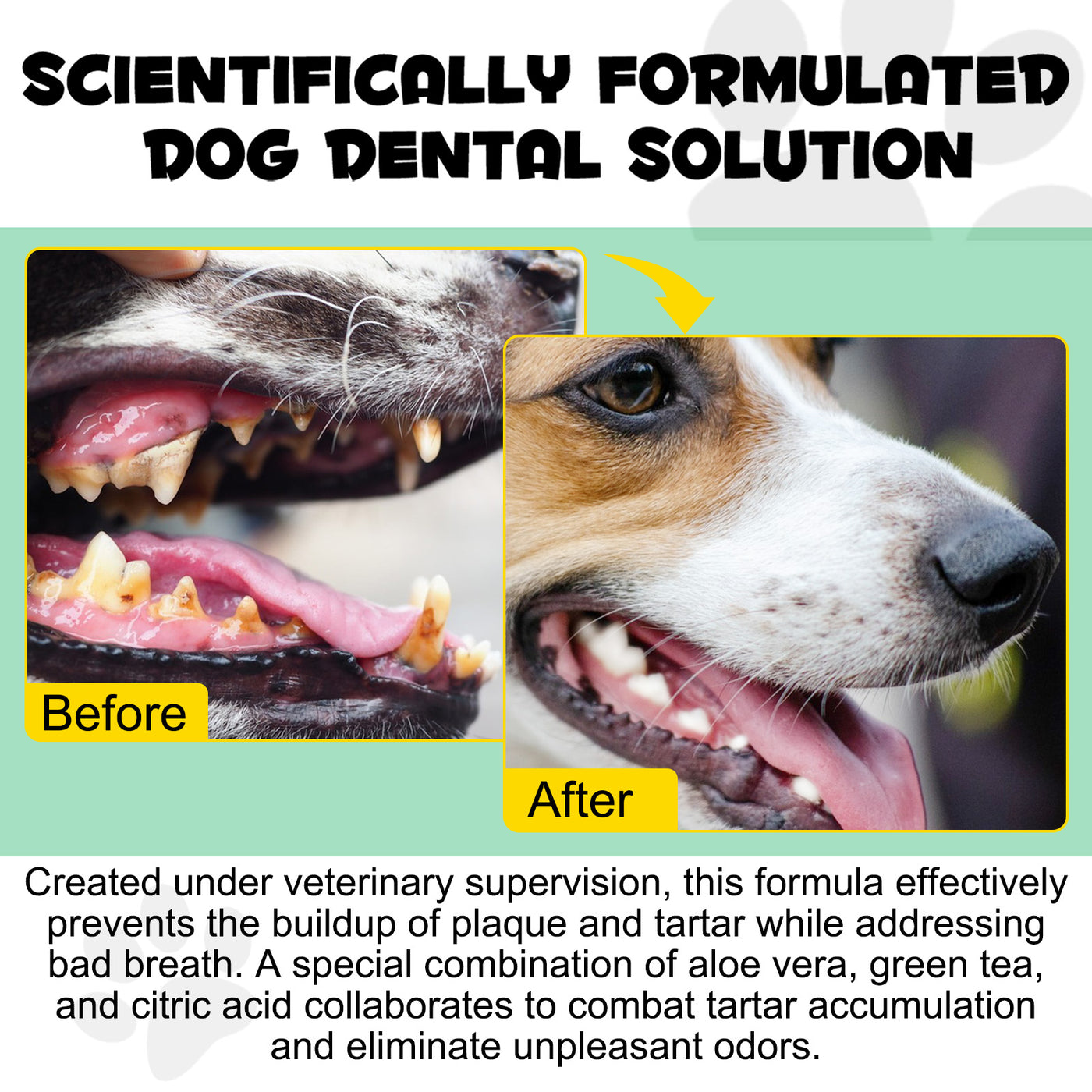 Oimmal 6-in-1 Canine Dental Solution - 2Pack