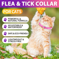 Oimmal Flea & Tick Collar for Cats (4 Collars) - Pink&Purple