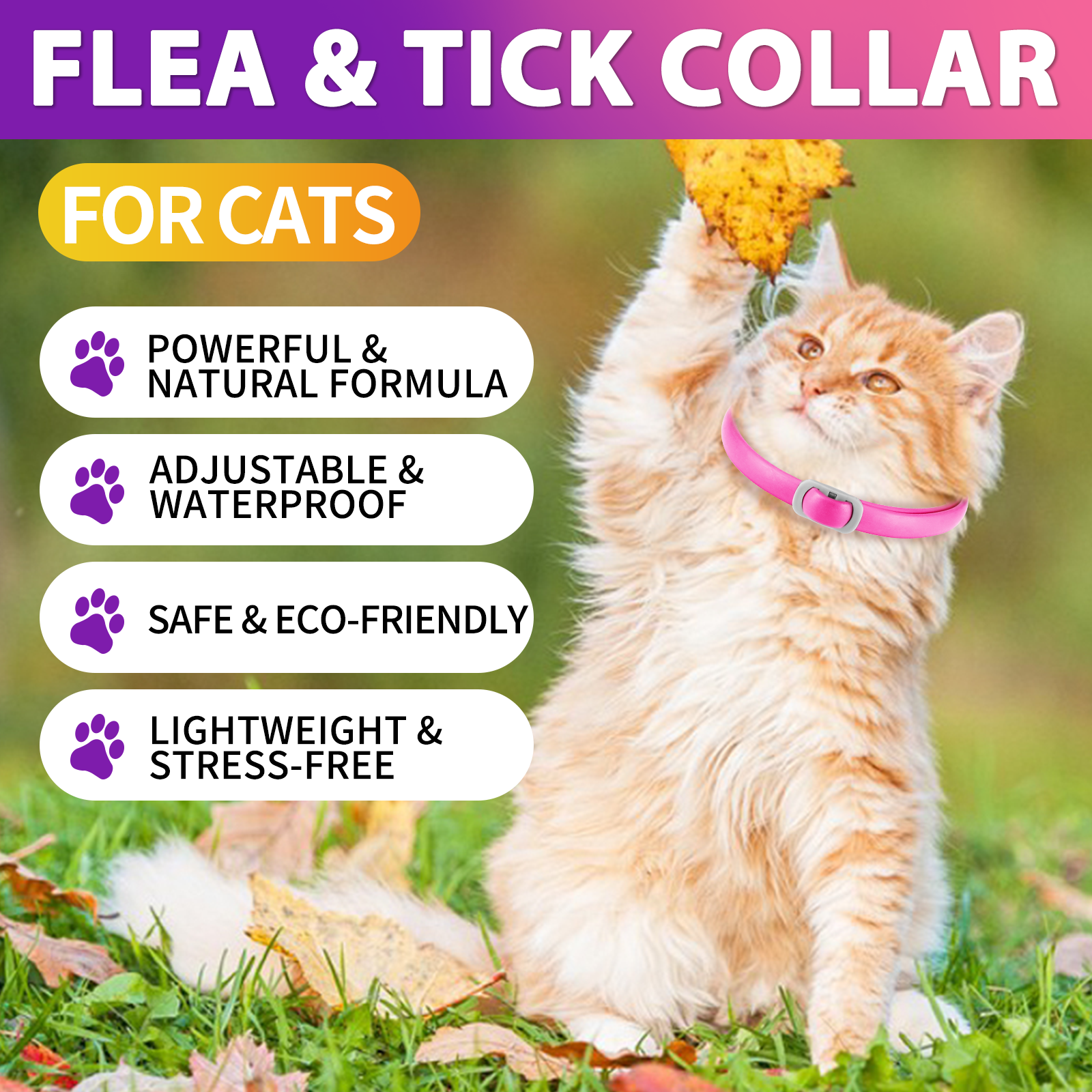 Oimmal Flea & Tick Collar for Cats (4 Collars) - Pink&Purple
