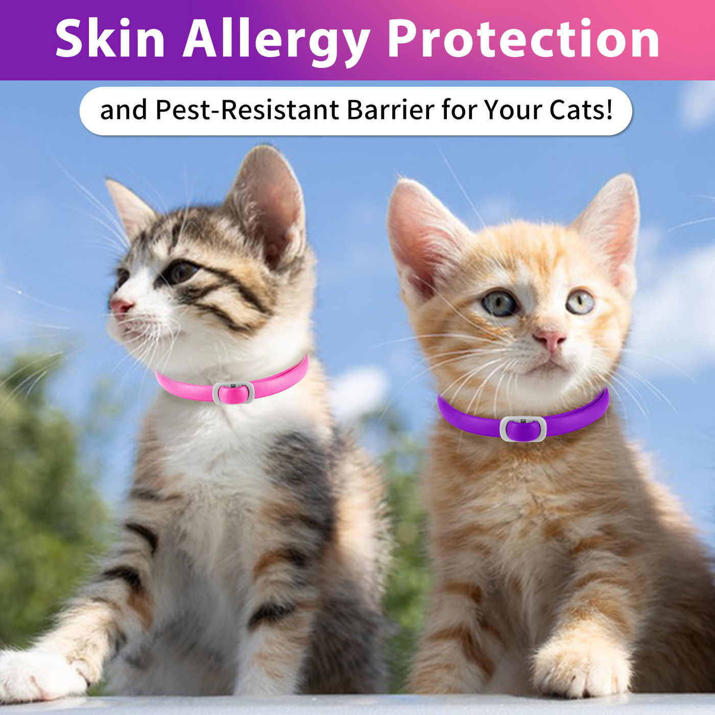 Oimmal Flea & Tick Collar for Cats (4 Collars) - Pink&Purple