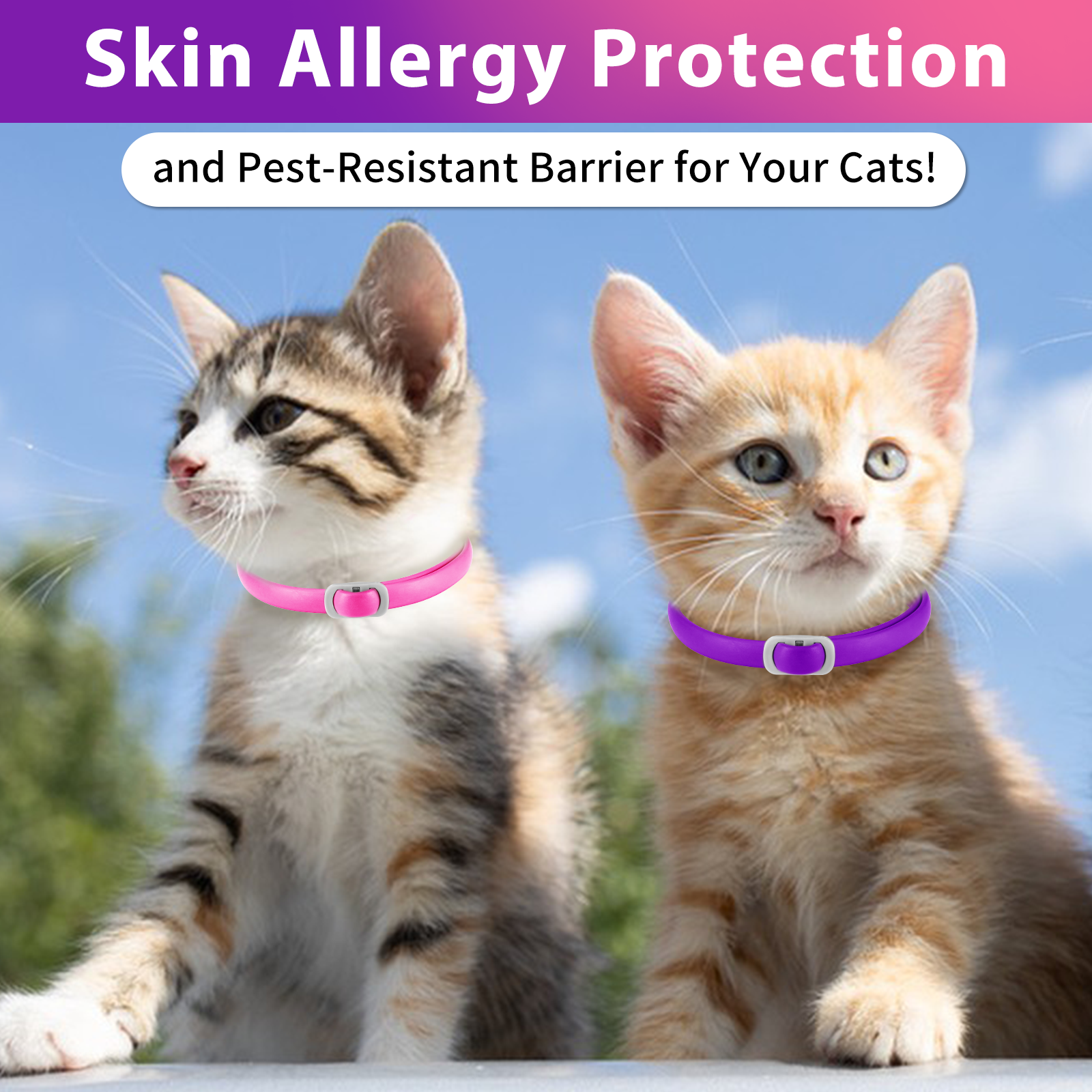 Oimmal Flea & Tick Collar for Cats (4 Collars) - Pink&Purple