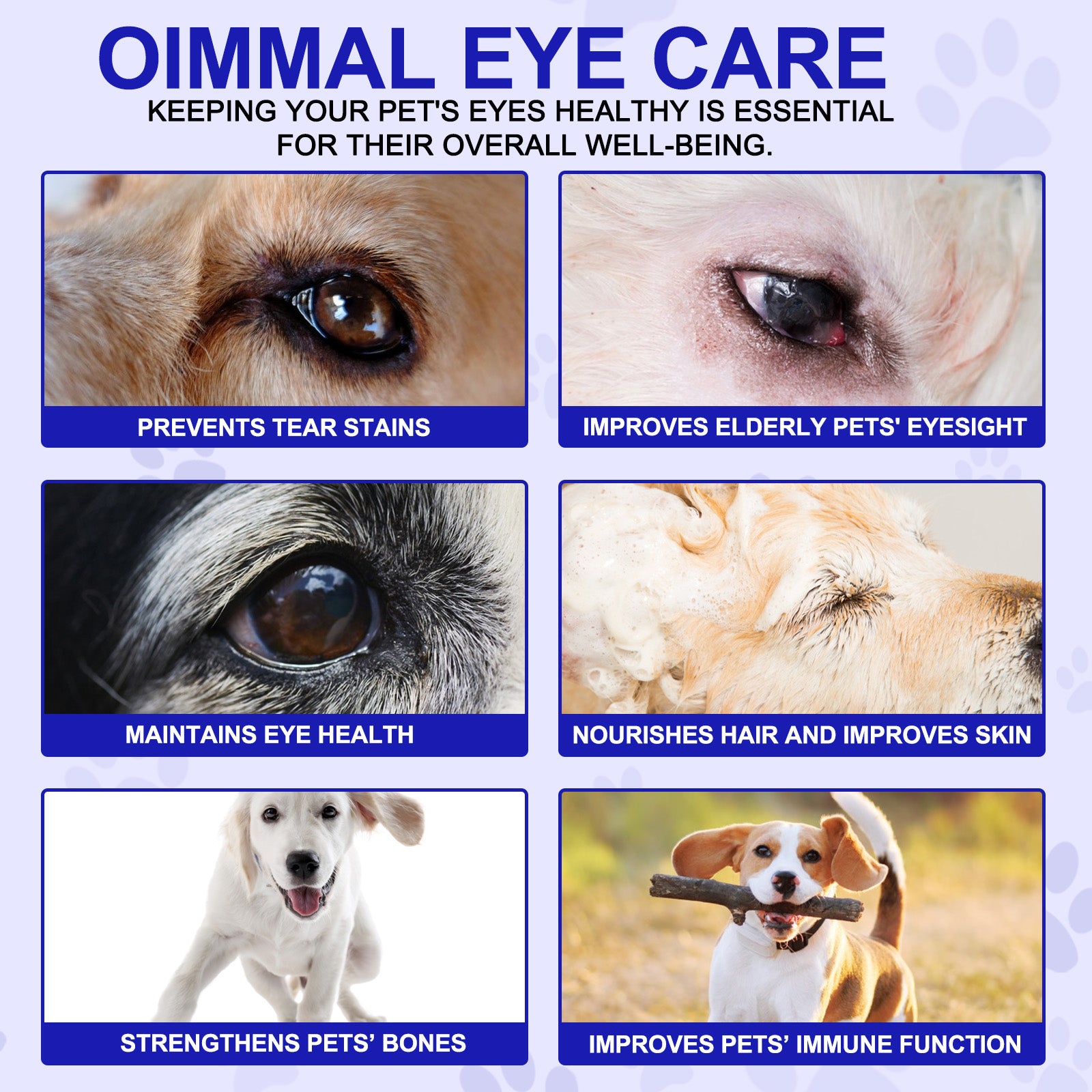 Oimmal Eye Care Supplement for Dogs