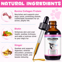 Oimmal Collagen Drops for Dogs