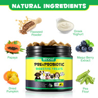 Oimmal Pre & Probiotic Digestive Chews - 3 Packs
