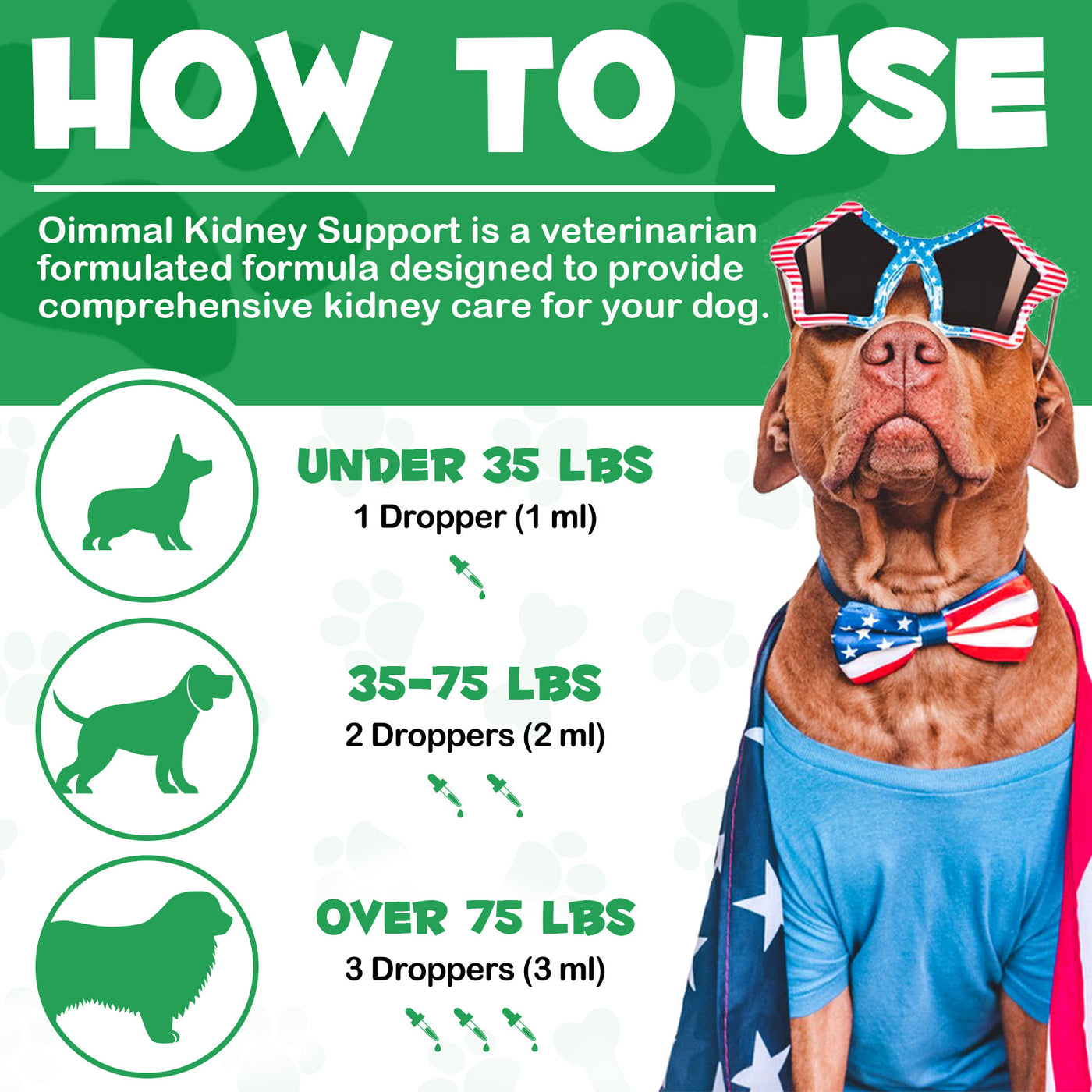 Oimmal Kidney Support for Dogs