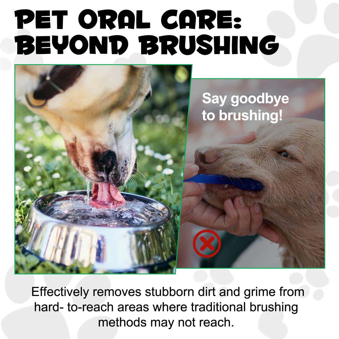 Oimmal 6-in-1 Canine Dental Solution