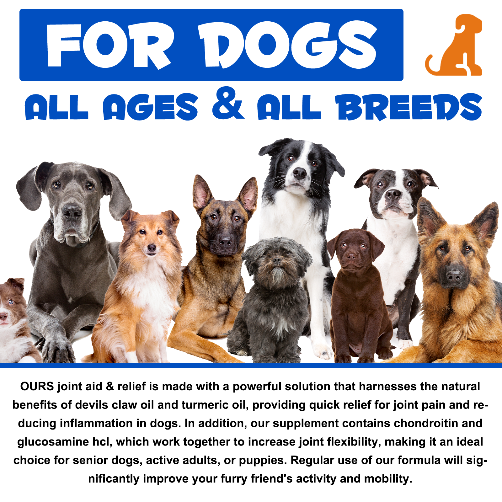 Oimmal Joint Aid & Relief Drops for Dogs