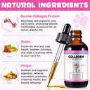 Oimmal Collagen Drops for Cats