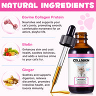 Oimmal Collagen Drops for Cats