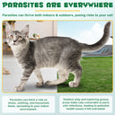 Oimmal Flea & Tick Prevention (6P)