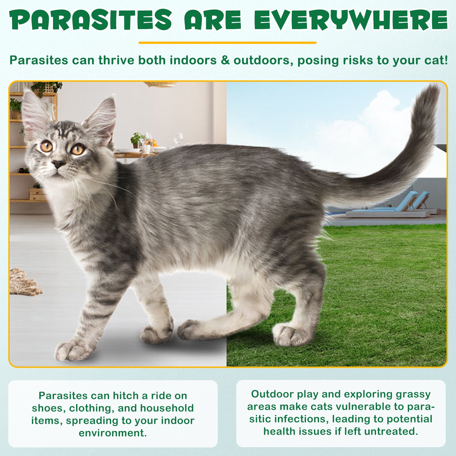 Oimmal Flea & Tick Prevention (6P)