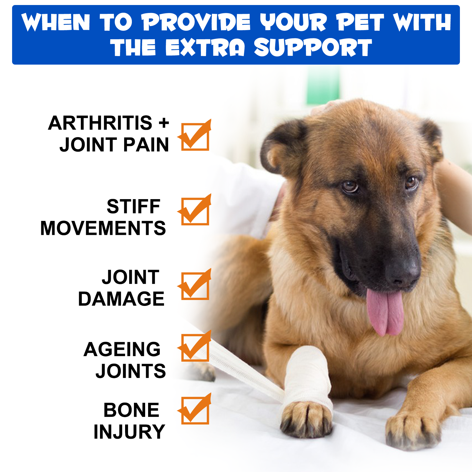 Oimmal Joint Aid & Relief Drops for Dogs