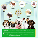 Oimmal 150pcs Dog Flea & Tick Chews (Peking Duck Flavor) - 2Pack