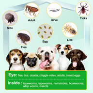 Oimmal 150pcs Dog Flea & Tick Chews (Peking Duck Flavor) - 2Pack