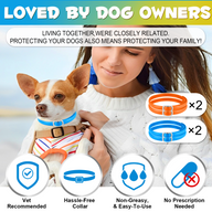 Oimmal Flea & Tick Collar for Dogs (4 Collars) - Blue&Orange