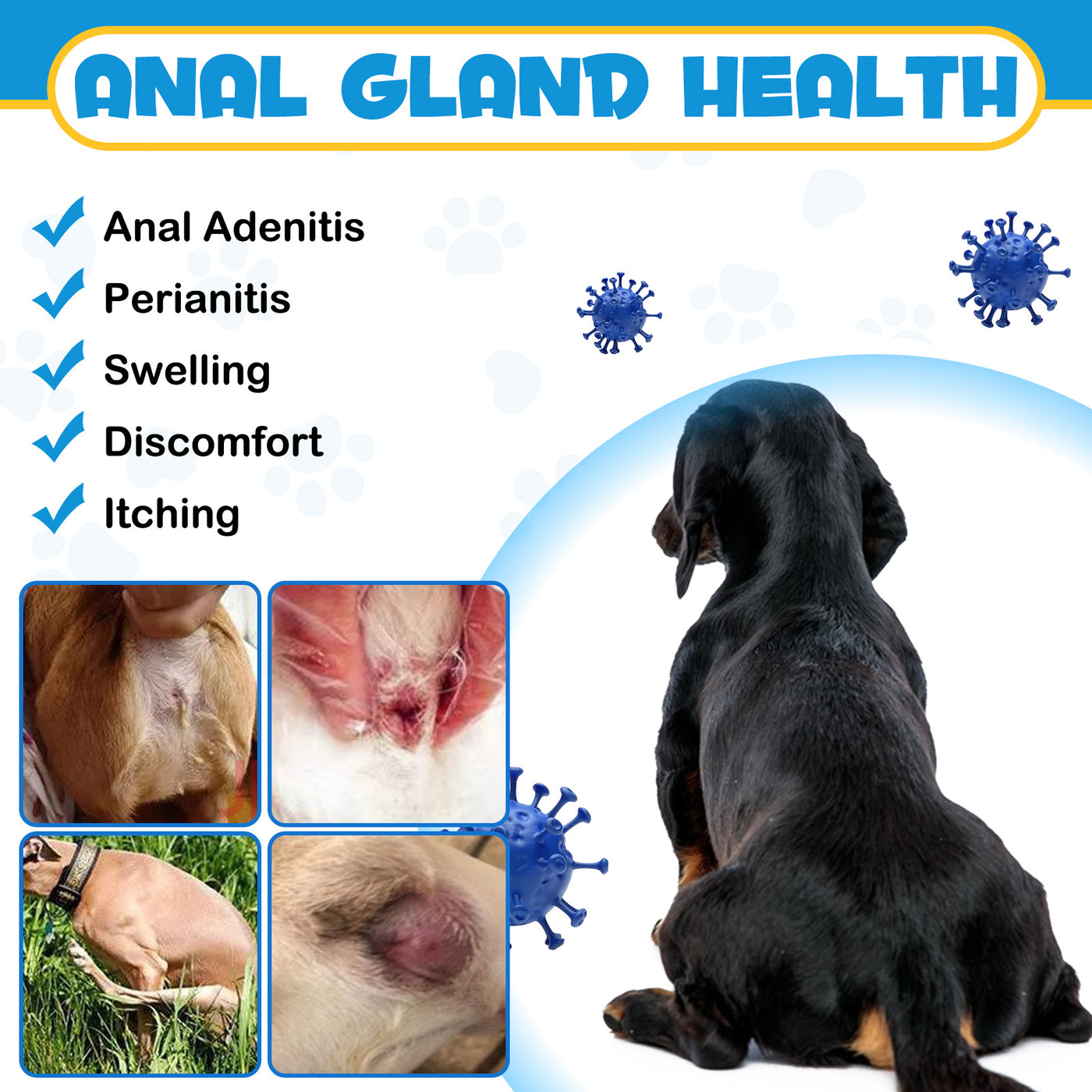 Oimmal Antimicrobial Anal Gland Spray for Dog