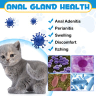 Oimmal Antimicrobial Anal Gland Spray for Cat