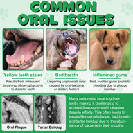 Oimmal 6-in-1 Canine Oral Care Spray 150ml