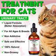 Oimmal Cats Urinary Tract Supplement