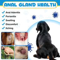 Oimmal Antimicrobial Anal Gland Spray for Dog - 2Pack