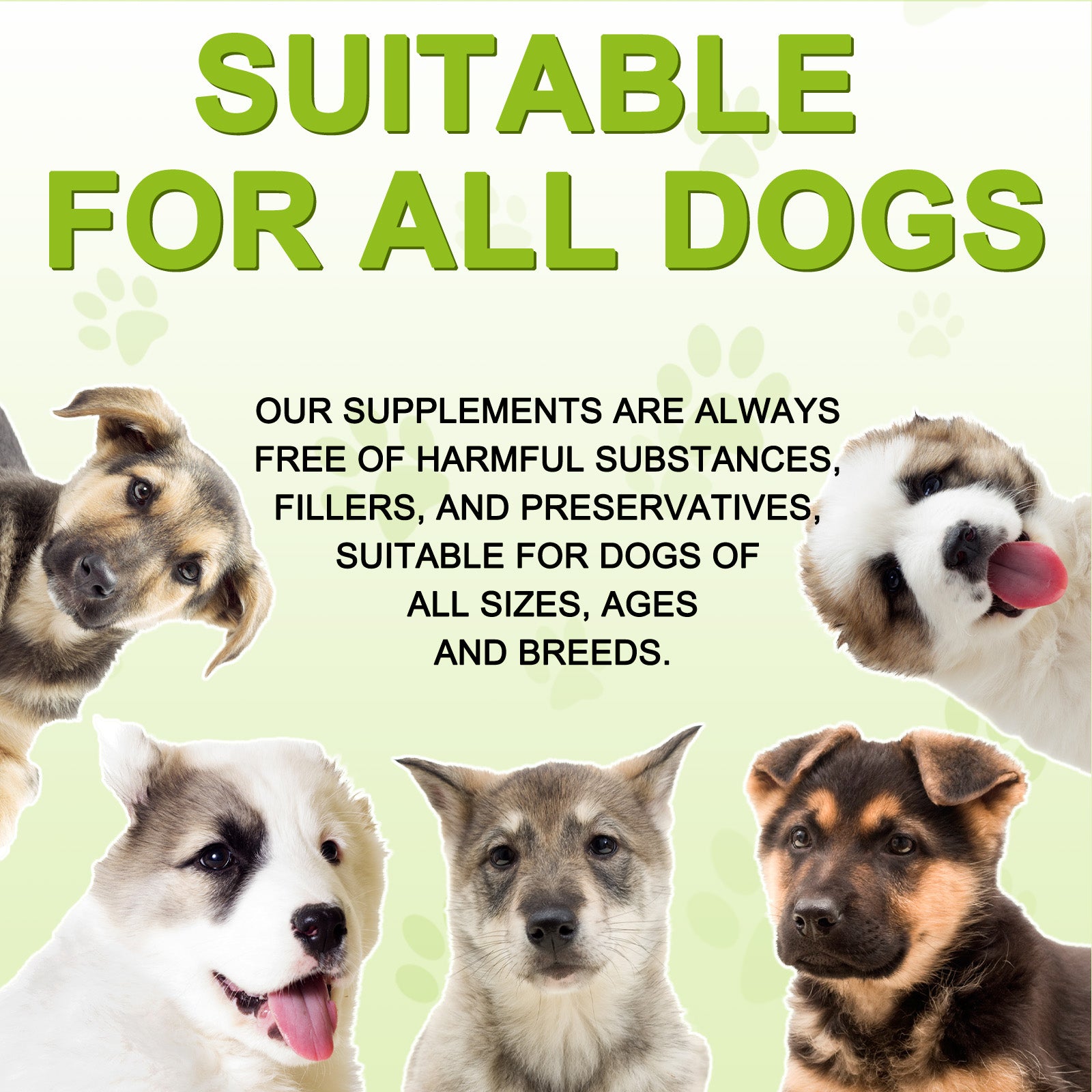 Oimmal Milk Thistle Supplement for Dogs