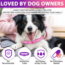 Oimmal Flea & Tick Collar for Dogs (4 Collars) - Pink&Purple