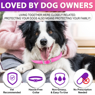 Oimmal Flea & Tick Collar for Dogs (4 Collars) - Pink&Purple